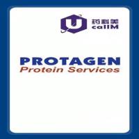北京美科美生物公司代理protagenproteinservices