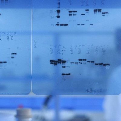 CAS:82962-86-5、≥98% (TLC)、MPTS