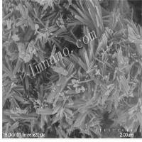 40nm 氢氧化铜纳米线