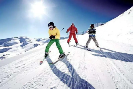 看了冬奥就想滑雪，是你滑雪还是雪划你？