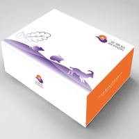 Insulin (胰岛素) Elisa Kit