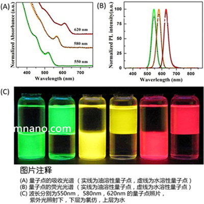 水溶性CdSe/ZnS量子点
