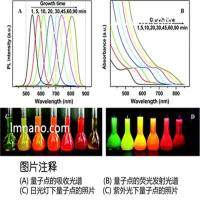 水溶性CdTe/CdS量子点