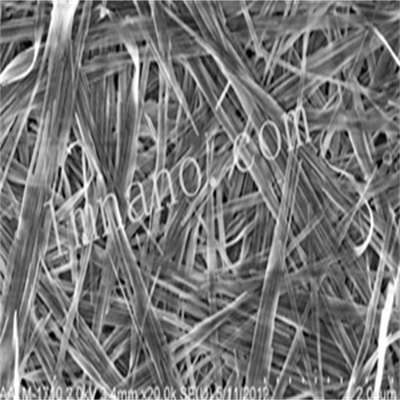 20nm 氧化镍纳米线