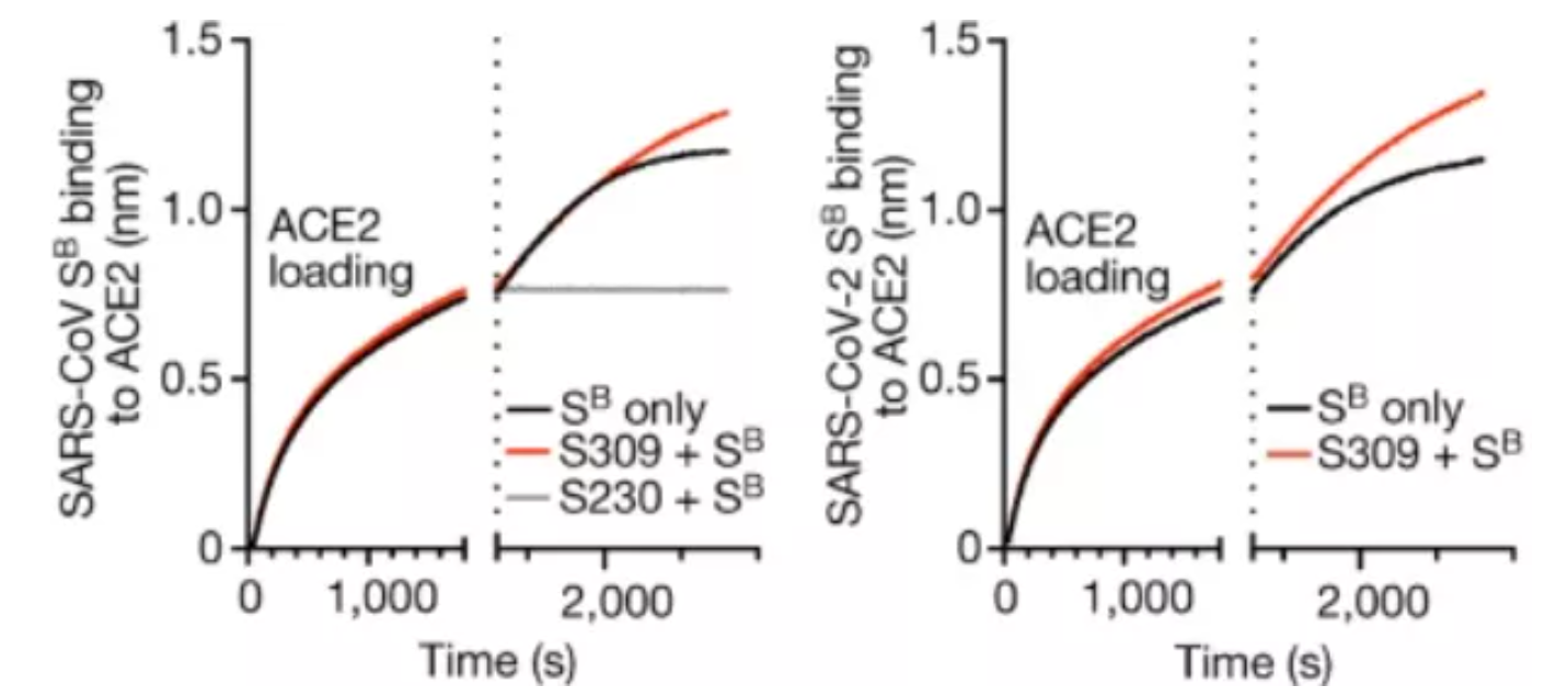 屏幕截图 2022-02-18 161533.png