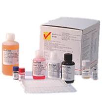 百测BioChek猪瘟（CSFV）抗体ELISA检测试剂盒（480）