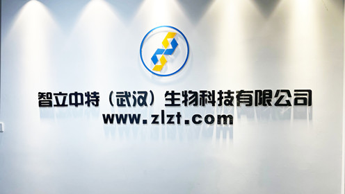 SiHa/人子宫颈鳞癌细胞