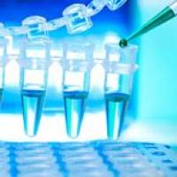 CAS：174568-67-3、≥85% (HPLC)、四甲基罗丹明-5-马来酰亚胺