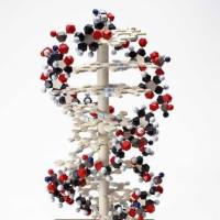 CAS：4213-45-0、≥95% (HPLC)、奎纳克林芥子er盐酸盐