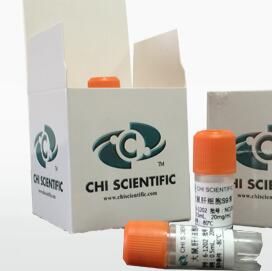 小鼠肝S9活化系统(AMES)毒理实验 AMES细菌回复突变试验 CA染色体畸变试验 基因突变试验