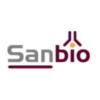 Polyclonal antibody against Phosphohistone-H3 (PHH3)