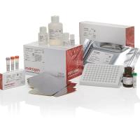 Thermo Scientific 分子生物学试剂和试剂盒-核酸对照、Gene Expression Screening Assays