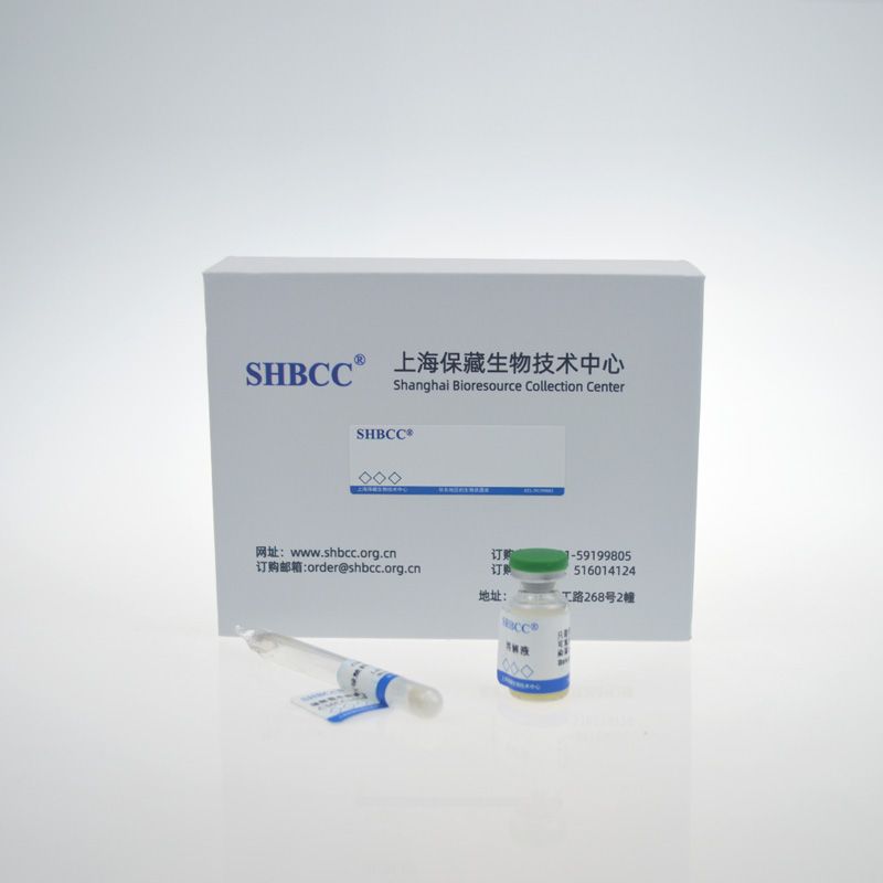 佐氏库特氏菌,Kurthia zopfii,SHBCC D15809,