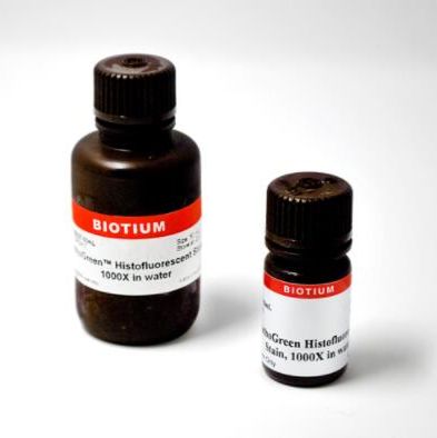 PathoGreen histofluorescent stain, 1000X in water 80027-50mL