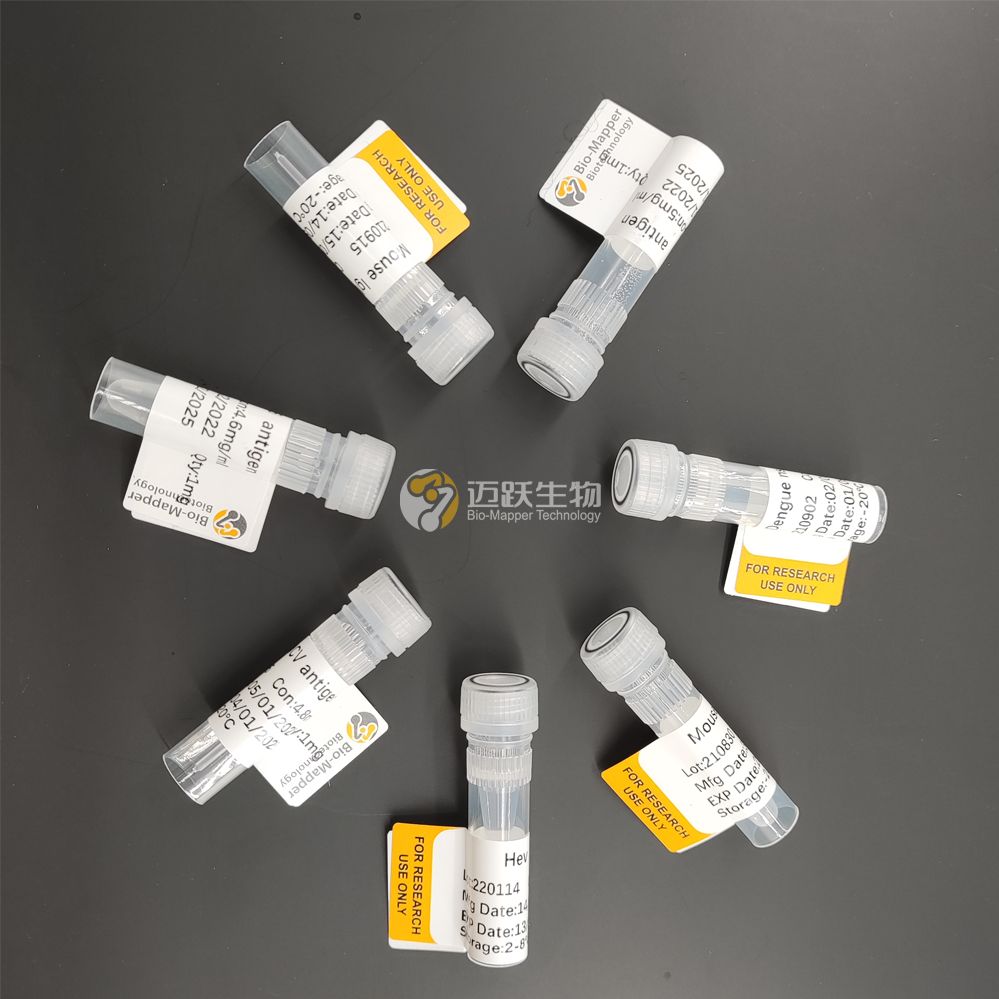 犬流感病毒抗体/CIV抗体/Canine Influenza Antibody