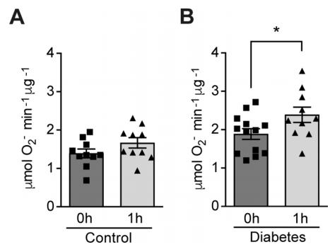 低氧/厌氧产品案例——低氧与糖尿病研究
