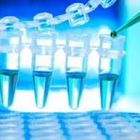 CAS：113694-64-7、≥90% (HPLC)、Fura-2，五钾盐