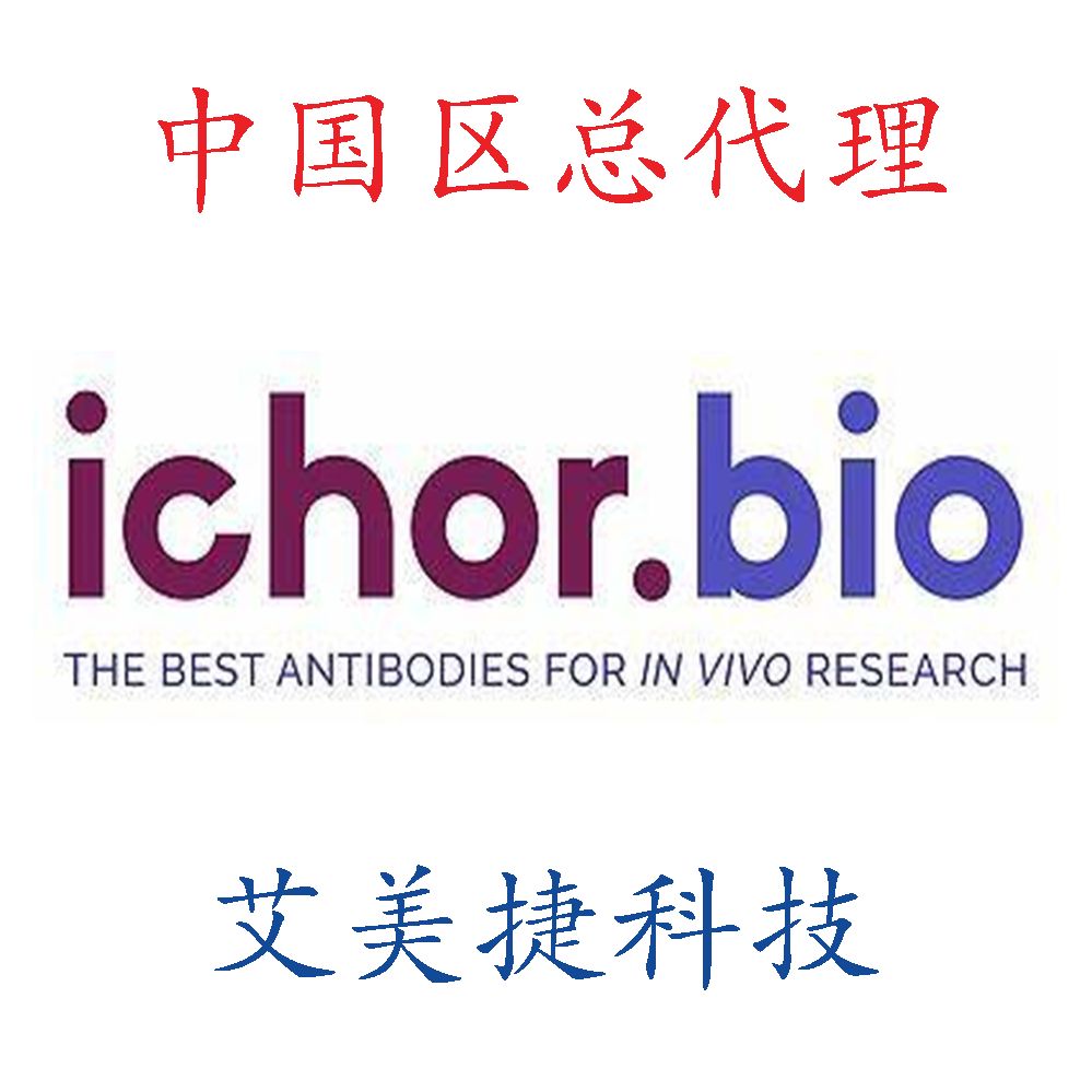抗小鼠TCR V gamma 2体内抗体-超低内毒素 (UC3-10A6)/Anti-Mouse TCR V gamma 2 In Vivo Antibody - Ultra Low Endotoxin (UC3-10A6)