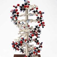 CAS：195136-71-1、≥98% (HPLC)、2,4-二氟间苯二酚	