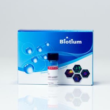 SDIP/Europium for membrane fusion assay 80105