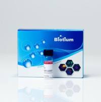 TS Biotin-X ethylenediamine 92011