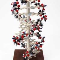 CAS：139628-16-3、≥95%(Titration)、(-)-(8,8-二氯樟脑磺酰基)恶氮丙啶