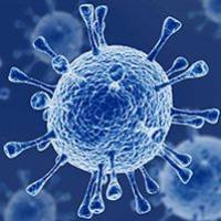 腺病毒包装/ADV/和元生物