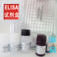 大鼠（Cr测几次）Elisa试剂盒