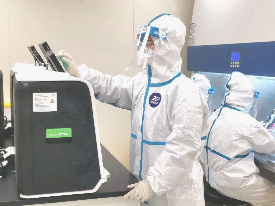 核酸检测报告是怎样炼成的?