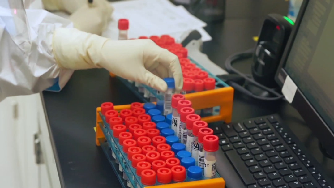 核酸检测报告是怎样炼成的?