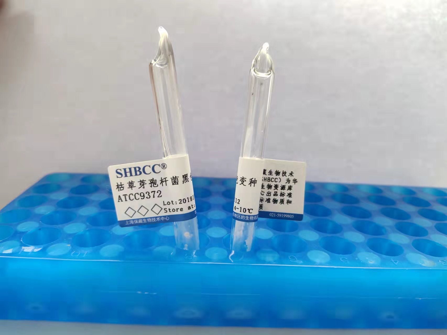 大肠杆菌Nissle 1917,SHBCC D24669,D