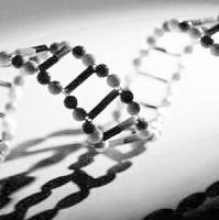 CAS：1535-65-5、≥98% (HPLC)、二氟甲基苯砜