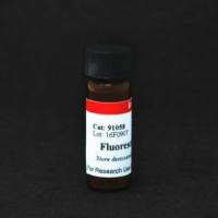 Fluorescein hexylamine 91058