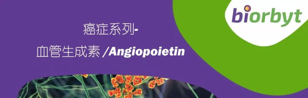 癌症系列-血管生成素 /Angiopoietin