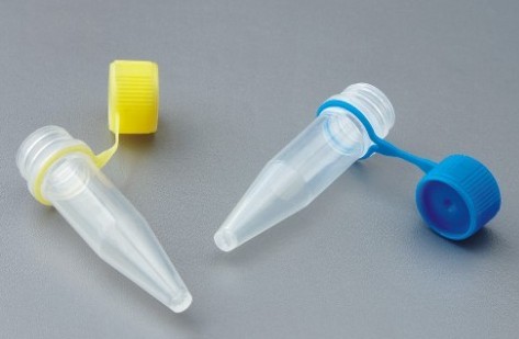 叶酸转运蛋白(FOLT)卵白蛋白偶联物