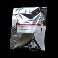 Cyanine 488NS succinimidyl ester 90117-1mg