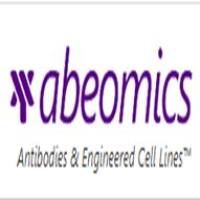 mGRO1/KC, His Recombinant Protein