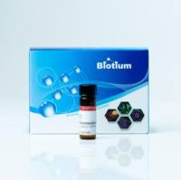 FLUORESCEIN-5-MALEIMIDE 91028