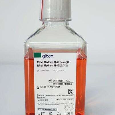 Gibco国产培养基 C11875500BT