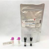 SARS-CoV-2 N del31-33 突变检测试剂盒