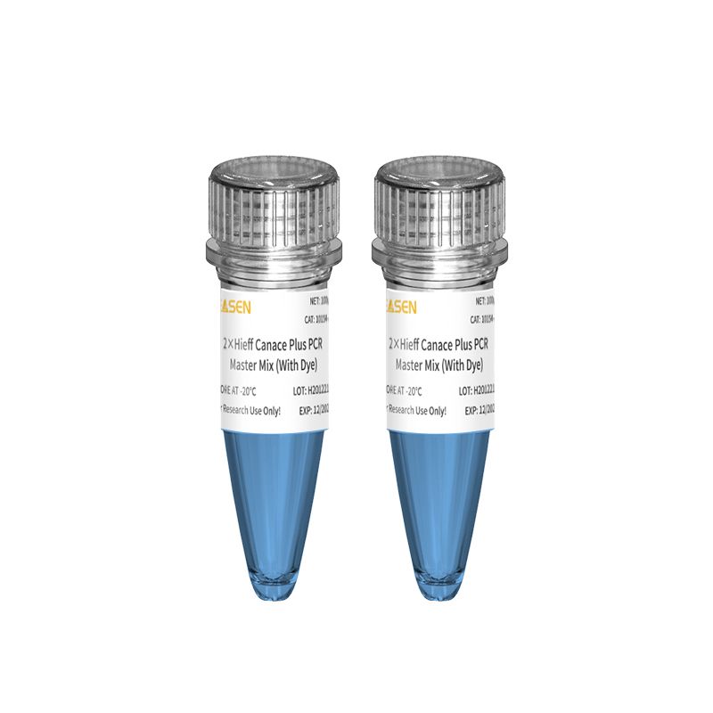 高保真DNA聚合酶(Hieff Canace® Plus H