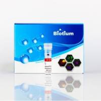 TrueBlack® Plus Lipofuscin Autofluorescence