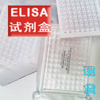 大鼠（MCP-2/CCL8）Elisa试剂盒