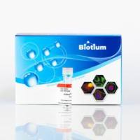 GelRed® Prestain Plus 6X DNA Loading Dye 41011