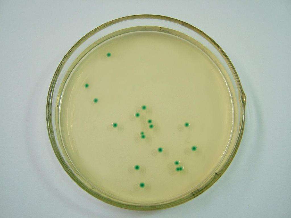 微波炉加热培养基使用方法及注意事项