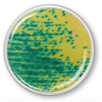 万古霉素耐药肠球菌显色琼脂（VRE）