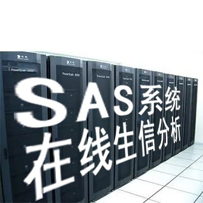 Analysis System, SAS系統