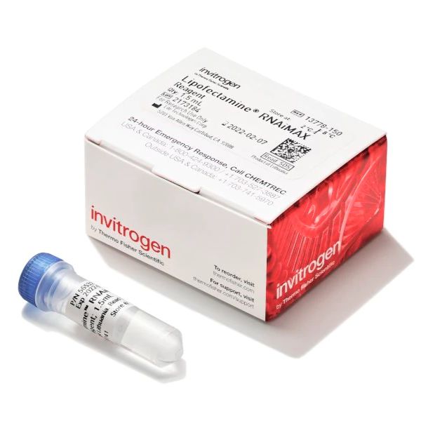 Lipofectamine™ RNAiMAX 转染试剂