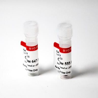 Cyanine 647 Aminooxy 96008