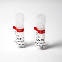 Cyanine 647 Aminooxy 96008